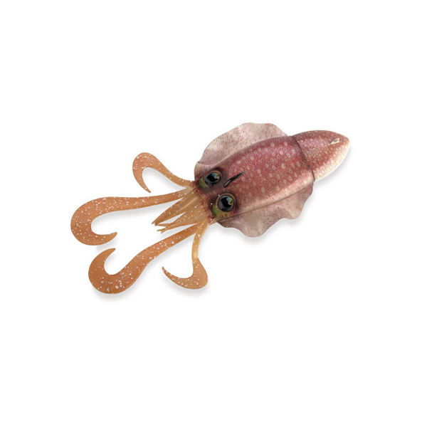 Σουπιά Σιλικόνης Akami Sepiade